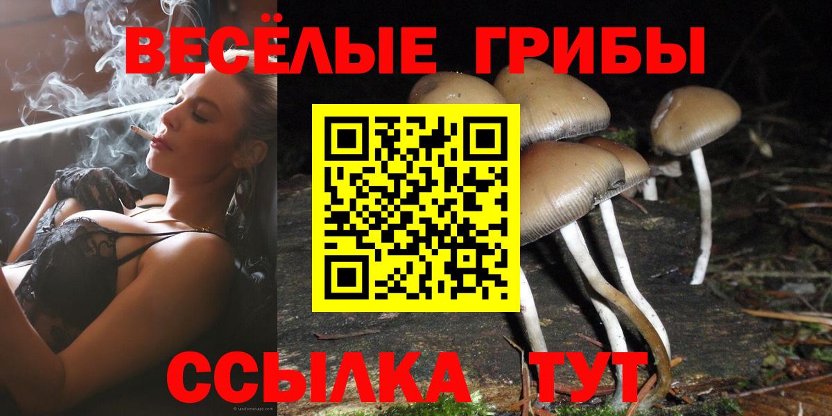 Галлюциногенные грибы прущие грибы Нягань